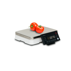 Waga FAWAG DS-2