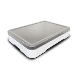Waga FAWAG DS-1